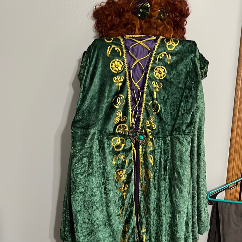 HALLOWEEN COSTUME- HICUS POCUS. WINIFRED